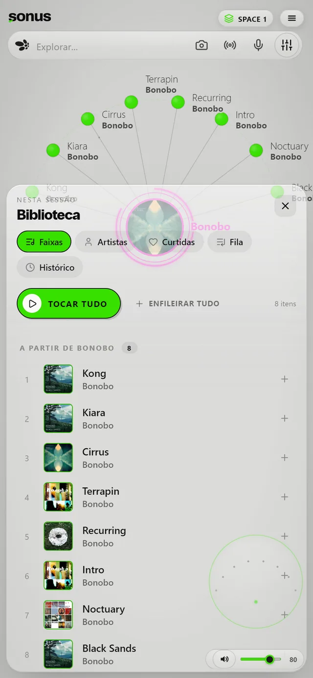 Tela Organização no Sonus